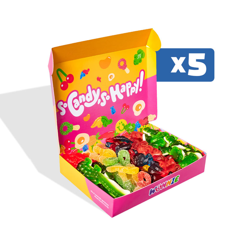 Wunnie box "So Candy, So Happy", 5 cajas de caramelos gomosos en sabores surtidos de 480g (Wunnie Days) 