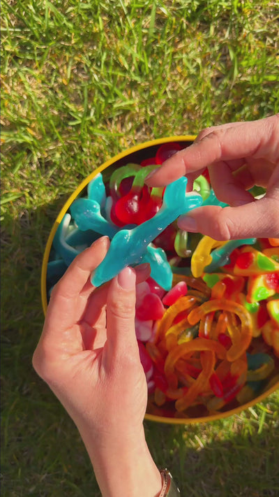 Delfini e cuori in Wunnie bucket jelly