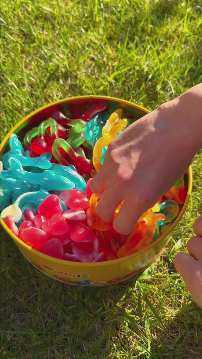 Vermi e squaletti in Wunnie Bucket jelly